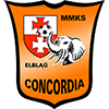 ФК Конкордия Эльблонг футбол