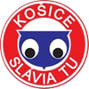 ФК Славия Кошице футбол