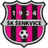 Senkvice футбол