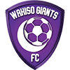 Wakiso Giants FC футбол