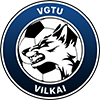 VGTU Vilkai футбол