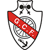Ginasio Figueirense футбол