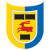 Камбюр Леуварден футбол
