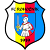 ФК Рогожник футбол