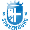 Спакенбург футбол