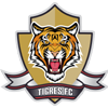 ФК Тайгерс футбол ФК Тайгерс футбол