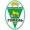 ФК Гомель футбол