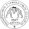 Панегиалиос футбол