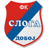 Слога футбол