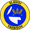 Славой Требишов футбол