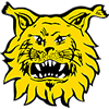 Ilves 2 футбол