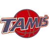 Тамиш
